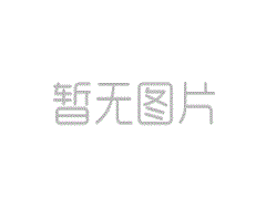 DGL-C小型鋼片式聯(lián)軸器