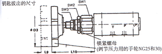 DBD型直動溢流閥